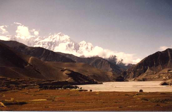 La plaine du lac Taal