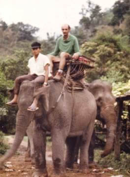 A dos d'éléphant
