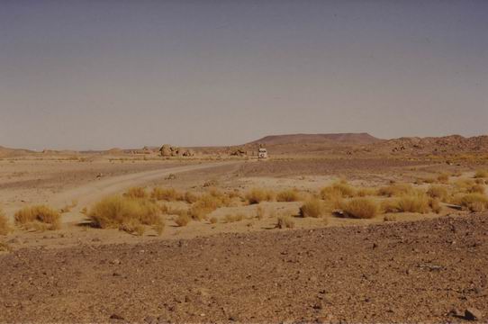 Piste de savane